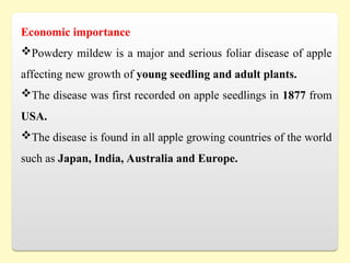 Economic importance
Powdery mildew is a major and serious foliar disease of apple
affecting new growth of young seedling and adult plants.
The disease was first recorded on apple seedlings in 1877 from
USA.
The disease is found in all apple growing countries of the world
such as Japan, India, Australia and Europe.
 