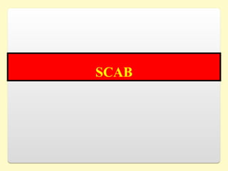 SCAB
 
