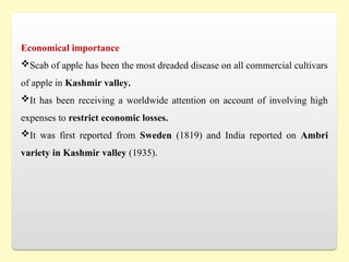 Economical importance
Scab of apple has been the most dreaded disease on all commercial cultivars
of apple in Kashmir valley.
It has been receiving a worldwide attention on account of involving high
expenses to restrict economic losses.
It was first reported from Sweden (1819) and India reported on Ambri
variety in Kashmir valley (1935).
 