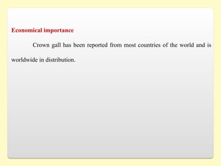 Economical importance
Crown gall has been reported from most countries of the world and is
worldwide in distribution.
 
