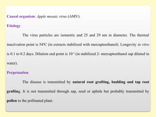 Causal organism: Apple mosaic virus (AMV).
Etiology
The virus particles are isometric and 25 and 29 nm in diameter. The thermal
inactivation point is 540
C (in extracts stabilized with mercaptoethanol). Longevity in vitro
is 0.1 to 0.2 days. Dilution end point is 10-3
(in stabilized 2- mercaptoethanol sap diluted in
water).
Perpetuation
The disease is transmitted by natural root grafting, budding and tap root
grafting. It is not transmitted through sap, seed or aphids but probably transmitted by
pollen to the pollinated plant.
 
