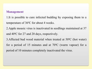 Management
1.It is possible to cure infected budding by exposing them to a
temperature of 360
C for about 4 weeks.
2.Apple moasic virus is inactivated in seedlings maintained at 37
and 400
C for 27 and 20 days, respectively.
3.Affected bud wood material when treated at 500
C (hot water)
for a period of 15 minutes and at 700
C (warm vapour) for a
period of 10 minutes completely inactivated the virus.
 