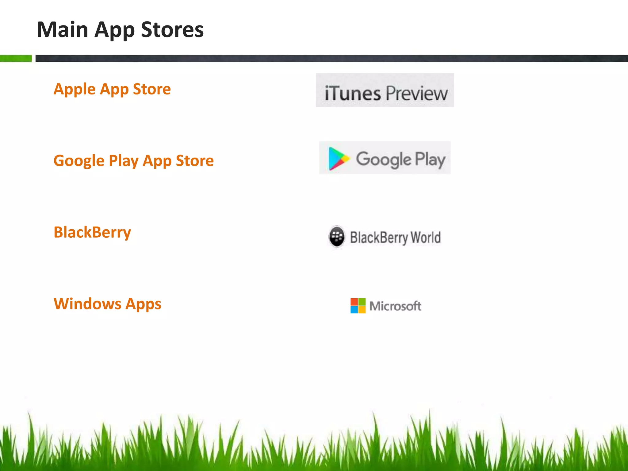 Apple App Store
Google Play App Store
BlackBerry
Windows Apps
Main App Stores
 