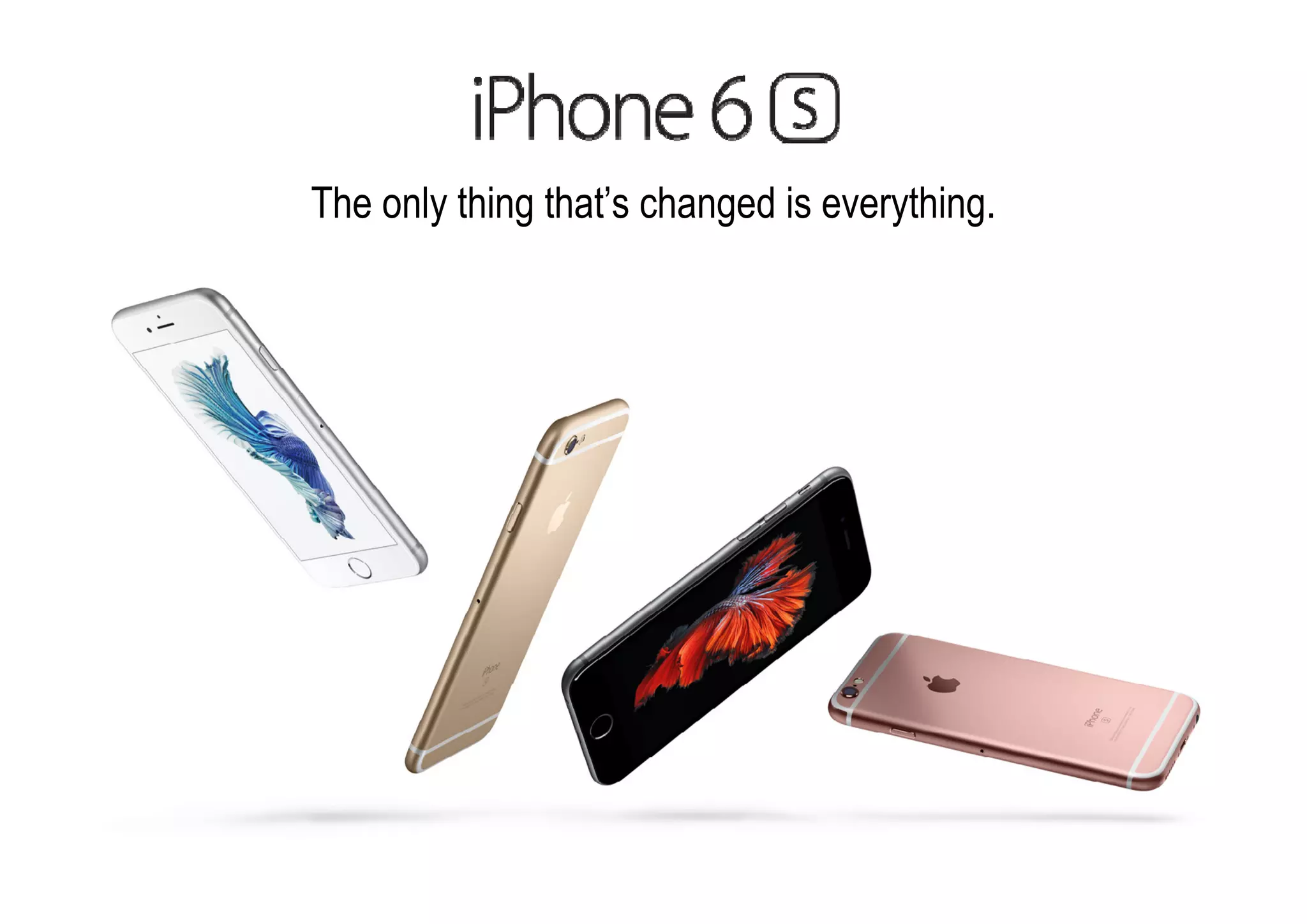 The only thing that’s changed is everything. 