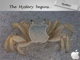 The  Mystery  𲵾Բ…Mٱ