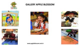 Apple Blossom