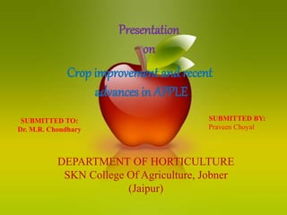 Crop improvement and recent
advances in APPLE
Presentation
on
SUBMITTED TO:
Dr. M.R. Choudhary
SUBMITTED BY:
Praveen Choyal
DEPARTMENT OF HORTICULTURE
SKN College Of Agriculture, Jobner
(Jaipur)
 