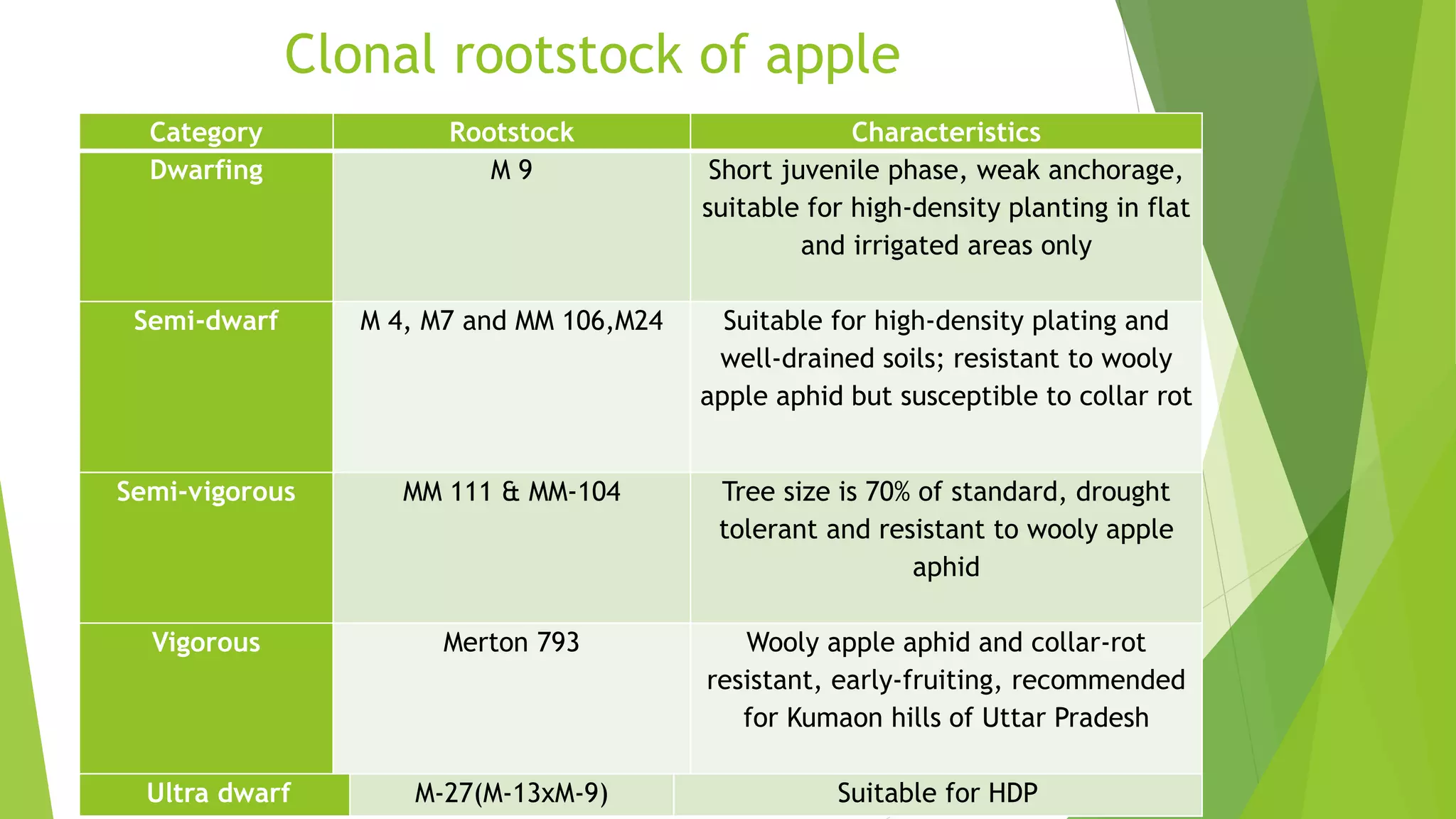 Clonal rootstock of apple
Category Rootstock Characteristics
Dwarfing M 9 Short juvenile phase, weak anchorage,
suitable for high-density planting in flat
and irrigated areas only
Semi-dwarf M 4, M7 and MM 106,M24 Suitable for high-density plating and
well-drained soils; resistant to wooly
apple aphid but susceptible to collar rot
Semi-vigorous MM 111 & MM-104 Tree size is 70% of standard, drought
tolerant and resistant to wooly apple
aphid
Vigorous Merton 793 Wooly apple aphid and collar-rot
resistant, early-fruiting, recommended
for Kumaon hills of Uttar Pradesh
Ultra dwarf M-27(M-13xM-9) Suitable for HDP
 