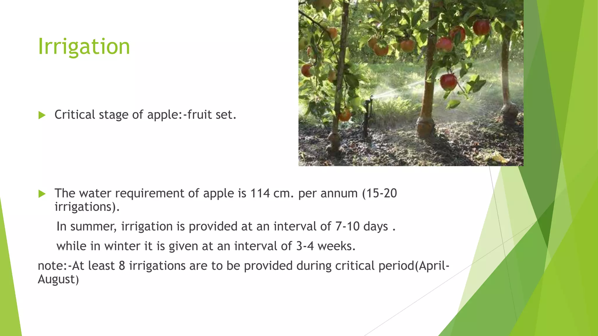 Irrigation
 Critical stage of apple:-fruit set.
 The water requirement of apple is 114 cm. per annum (15-20
irrigations).
In summer, irrigation is provided at an interval of 7-10 days .
while in winter it is given at an interval of 3-4 weeks.
note:-At least 8 irrigations are to be provided during critical period(April-
August)
 