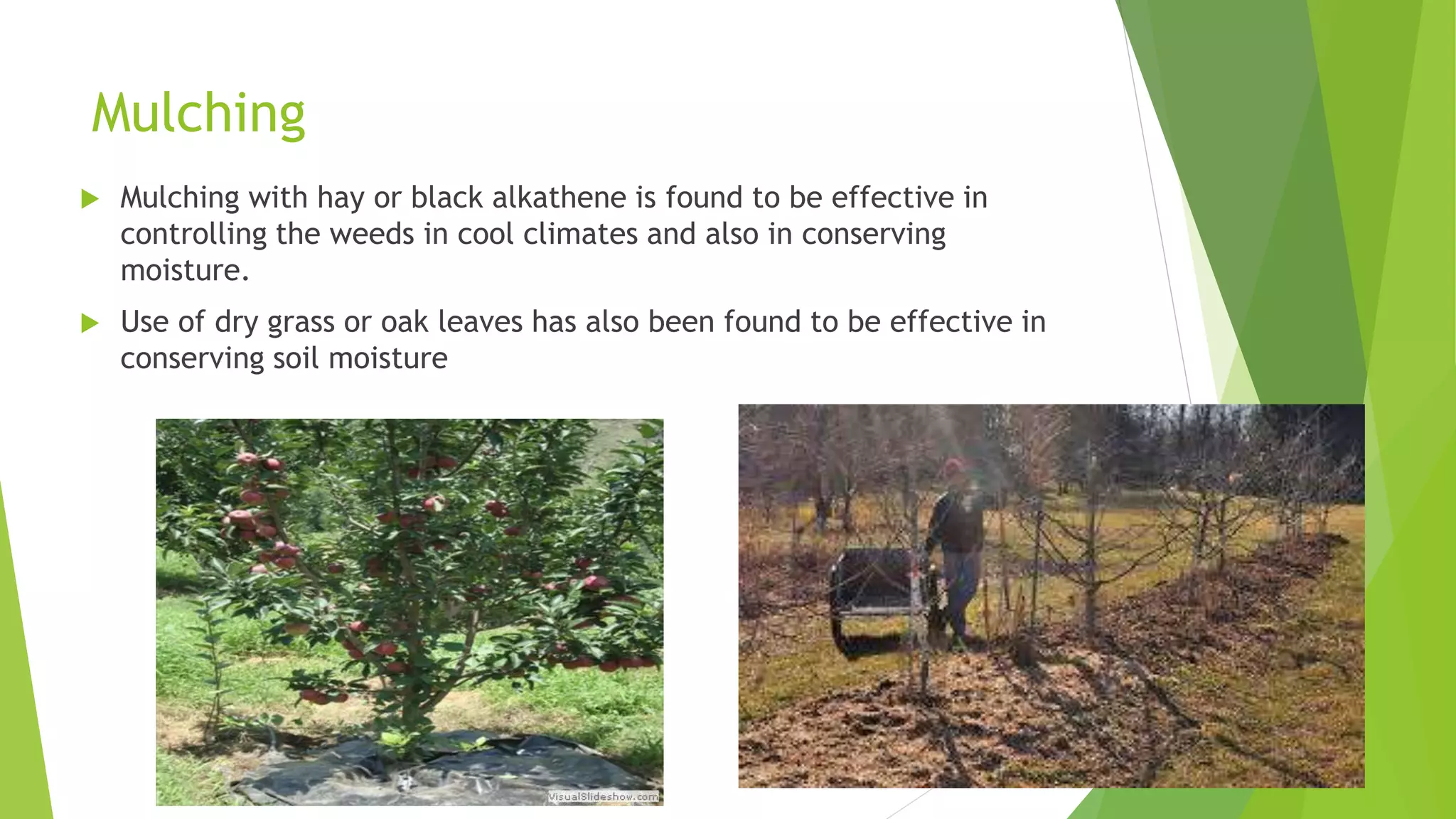 Mulching
 Mulching with hay or black alkathene is found to be effective in
controlling the weeds in cool climates and also in conserving
moisture.
 Use of dry grass or oak leaves has also been found to be effective in
conserving soil moisture
 