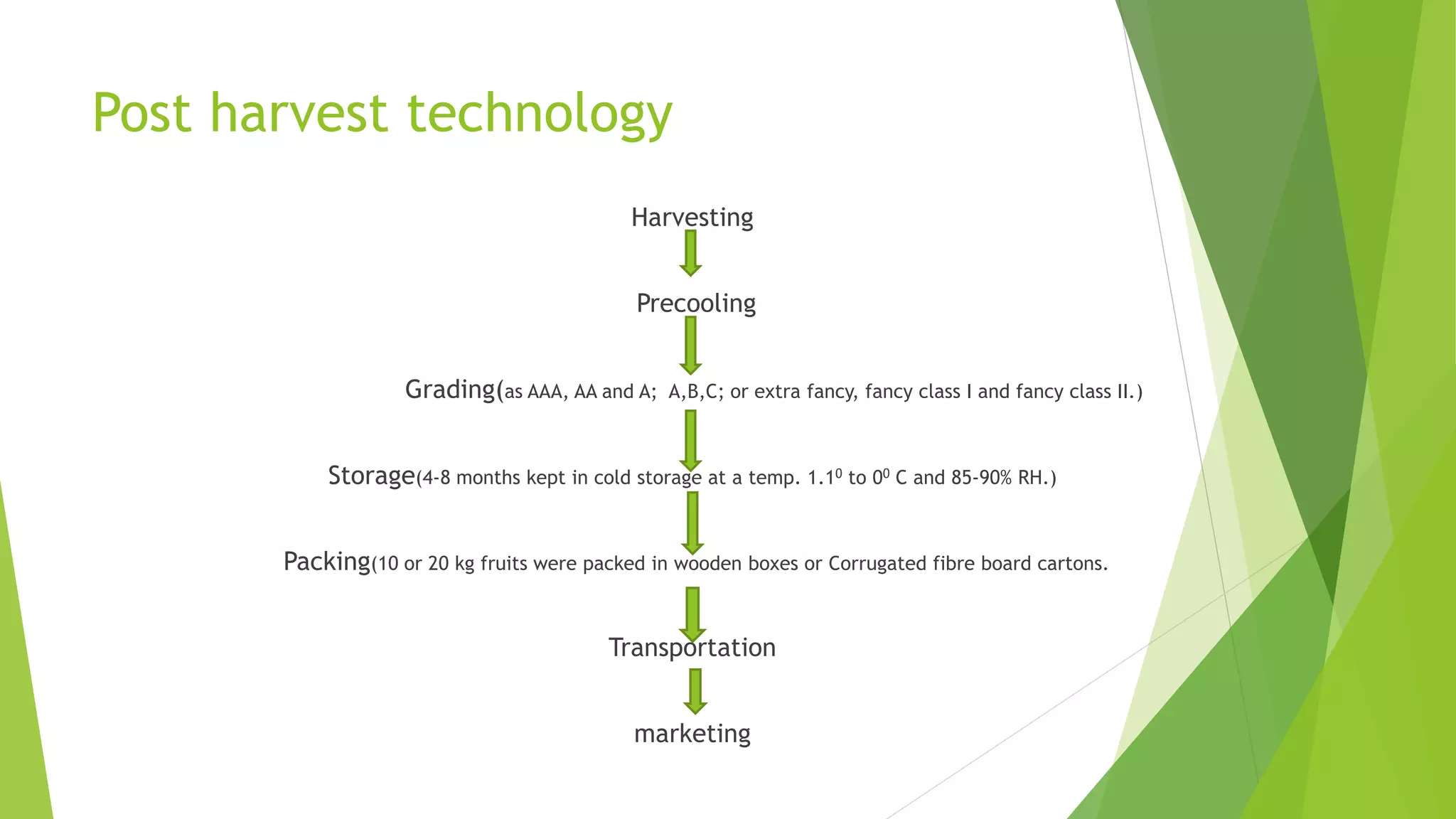 Post harvest technology
Harvesting
Precooling
Grading(as AAA, AA and A; A,B,C; or extra fancy, fancy class I and fancy class II.)
Storage(4-8 months kept in cold storage at a temp. 1.10 to 00 C and 85-90% RH.)
Packing(10 or 20 kg fruits were packed in wooden boxes or Corrugated fibre board cartons.
Transportation
marketing
 