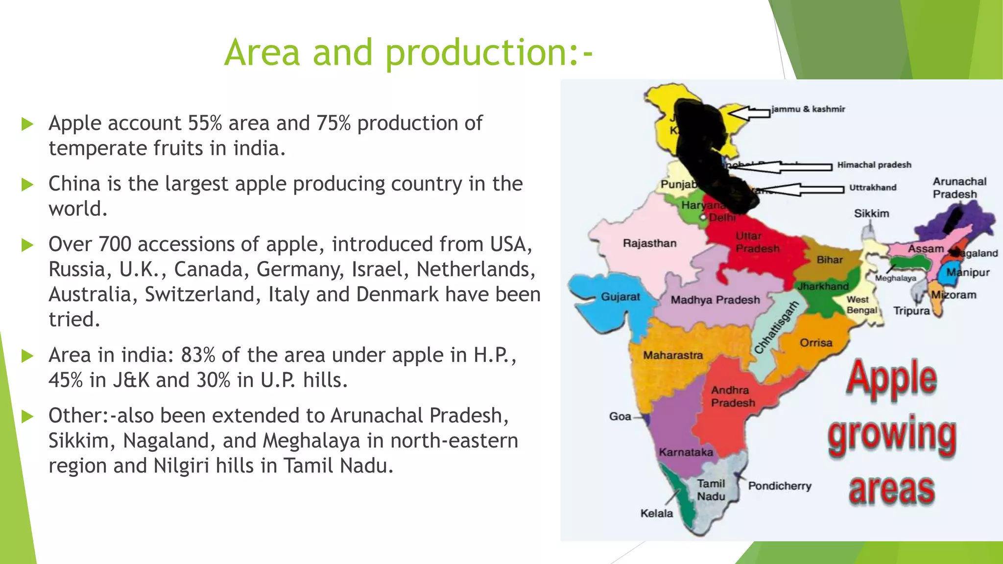 Area and production:-
 Apple account 55% area and 75% production of
temperate fruits in india.
 China is the largest apple producing country in the
world.
 Over 700 accessions of apple, introduced from USA,
Russia, U.K., Canada, Germany, Israel, Netherlands,
Australia, Switzerland, Italy and Denmark have been
tried.
 Area in india: 83% of the area under apple in H.P.,
45% in J&K and 30% in U.P. hills.
 Other:-also been extended to Arunachal Pradesh,
Sikkim, Nagaland, and Meghalaya in north-eastern
region and Nilgiri hills in Tamil Nadu.
 