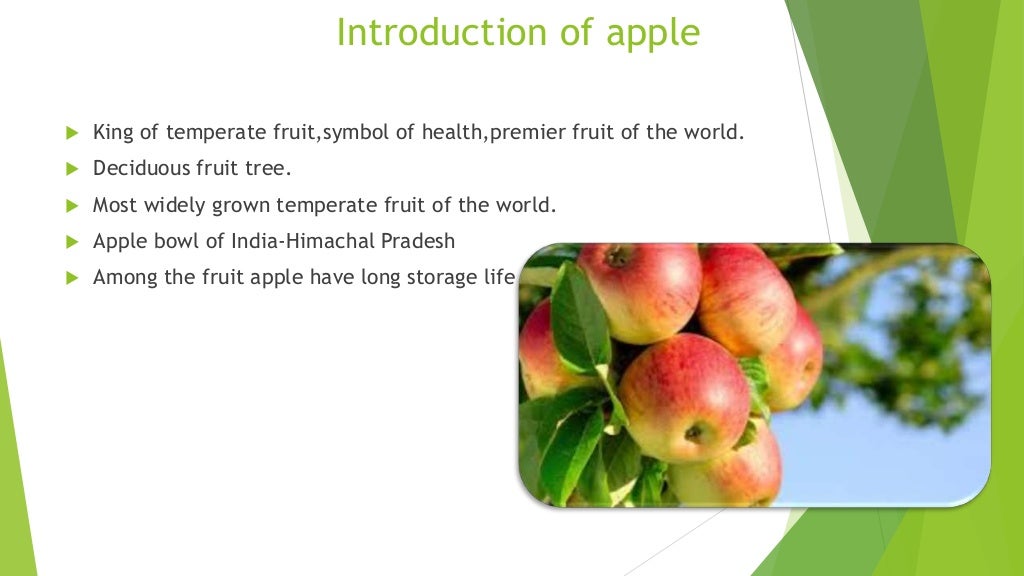 Apple cultivation