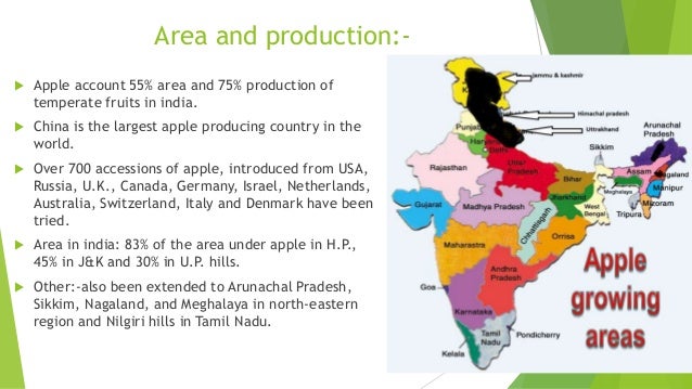 Apple Cultivation