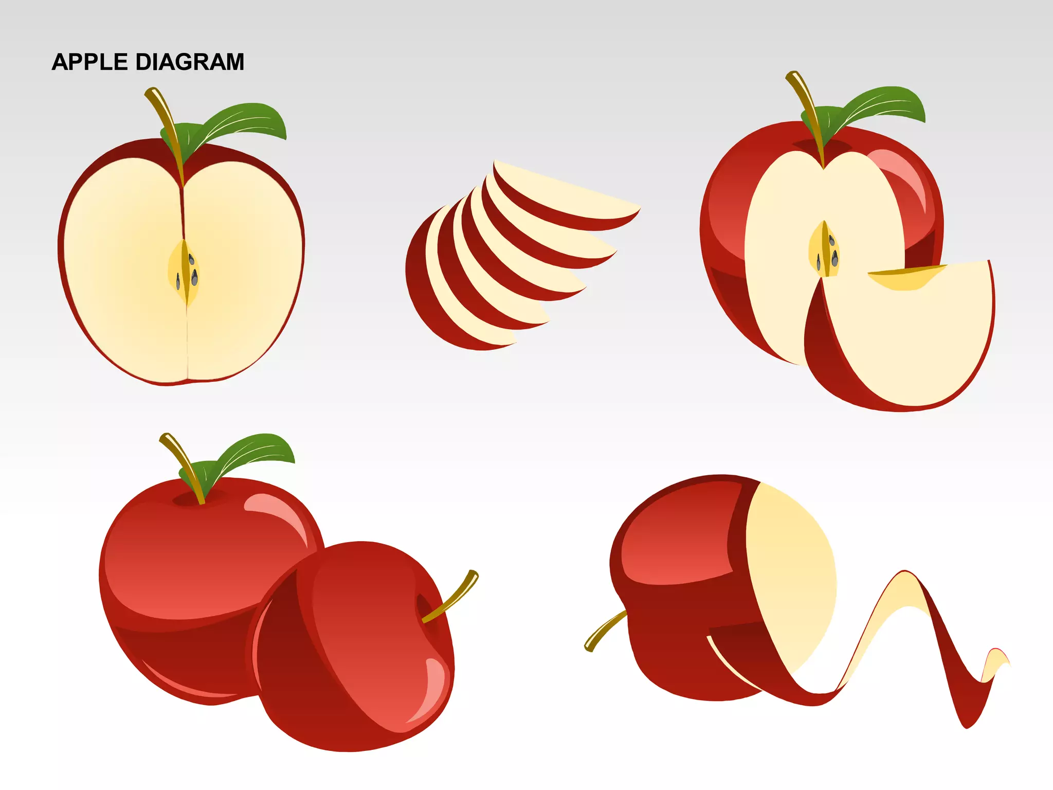 APPLE DIAGRAM
 