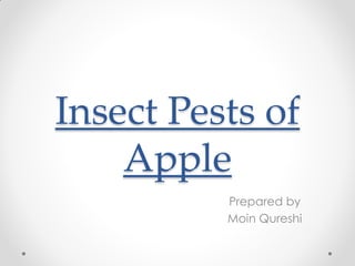 Insect Pests of
Apple
Prepared by
Moin Qureshi
 