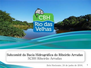 1Belo Horizonte, 24 de junho de 2016.
Subcomitê da Bacia Hidrográfica do Ribeirão Arrudas
SCBH Ribeirão Arrudas
 