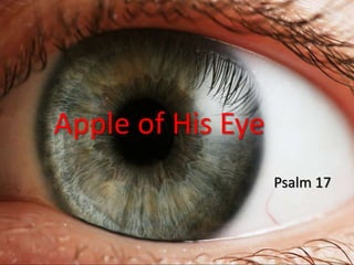 Apple of His Eye
Psalm 17
 