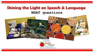 Shining the Light on Speech & Language
http://www.ApplePatchTherapy.com
Presented by:
WHAT questions
 