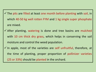 Fym Well Rotted Temperate fruit crop production technology of Apple | PPTX