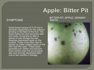 Stippe Apple physiological disorders A Lecture By Allah Dad Khan To FFS ...