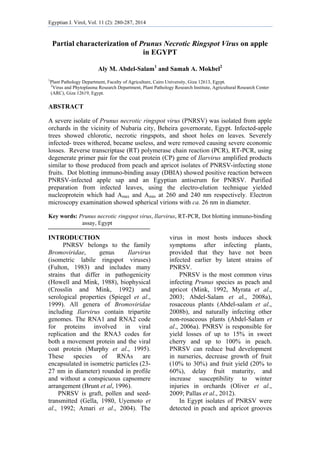Egyptian J. Virol, Vol. 11 (2): 280-287, 2014
 
Partial characterization of Prunus Necrotic Ringspot Virus on apple
in EGYPT
Aly M. Abdel-Salam1
and Samah A. Mokbel2
1
Plant Pathology Department, Faculty of Agriculture, Cairo University, Giza 12613, Egypt.
2
Virus and Phytoplasma Research Department, Plant Pathology Research Institute, Agricultural Research Center
(ARC), Giza 12619, Egypt.
ABSTRACT
A severe isolate of Prunus necrotic ringspot virus (PNRSV) was isolated from apple
orchards in the vicinity of Nubaria city, Beheira governorate, Egypt. Infected-apple
trees showed chlorotic, necrotic ringspots, and shoot holes on leaves. Severely
infected- trees withered, became useless, and were removed causing severe economic
losses. Reverse transcriptase (RT) polymerase chain reaction (PCR), RT-PCR, using
degenerate primer pair for the coat protein (CP) gene of Ilarvirus amplified products
similar to those produced from peach and apricot isolates of PNRSV-infecting stone
fruits. Dot blotting immuno-binding assay (DBIA) showed positive reaction between
PNRSV-infected apple sap and an Egyptian antiserum for PNRSV. Purified
preparation from infected leaves, using the electro-elution technique yielded
nucleoprotein which had Amax and Amin at 260 and 240 nm respectively. Electron
microscopy examination showed spherical virions with ca. 26 nm in diameter.
Key words: Prunus necrotic ringspot virus, Ilarvirus, RT-PCR, Dot blotting immuno-binding
assay, Egypt
INTRODUCTION
PNRSV belongs to the family
Bromoviridae, genus Ilarvirus
(isometric labile ringspot viruses)
(Fulton, 1983) and includes many
strains that differ in pathogenicity
(Howell and Mink, 1988), biophysical
(Crosslin and Mink, 1992) and
serological properties (Spiegel et al.,
1999). All genera of Bromoviridae
including Ilarvirus contain tripartite
genomes. The RNA1 and RNA2 code
for proteins involved in viral
replication and the RNA3 codes for
both a movement protein and the viral
coat protein (Murphy et al., 1995).
These species of RNAs are
encapsulated in isometric particles (23-
27 nm in diameter) rounded in profile
and without a conspicuous capsomere
arrangement (Brunt et al, 1996).
PNRSV is graft, pollen and seed-
transmitted (Gella, 1980, Uyemoto et
al., 1992; Amari et al., 2004). The
virus in most hosts induces shock
symptoms after infecting plants,
provided that they have not been
infected earlier by latent strains of
PNRSV.
PNRSV is the most common virus
infecting Prunus species as peach and
apricot (Mink, 1992, Myrata et al.,
2003; Abdel-Salam et al., 2008a),
rosaceous plants (Abdel-salam et al.,
2008b), and naturally infecting other
non-rosaceous plants (Abdel-Salam et
al., 2006a). PNRSV is responsible for
yield losses of up to 15% in sweet
cherry and up to 100% in peach.
PNRSV can reduce bud development
in nurseries, decrease growth of fruit
(10% to 30%) and fruit yield (20% to
60%), delay fruit maturity, and
increase susceptibility to winter
injuries in orchards (Oliver et al.,
2009; Pallas et al., 2012).
In Egypt isolates of PNRSV were
detected in peach and apricot grooves
 