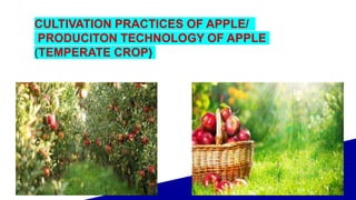 CULTIVATION PRACTICES OF APPLE/
PRODUCITON TECHNOLOGY OF APPLE
(TEMPERATE CROP)
 