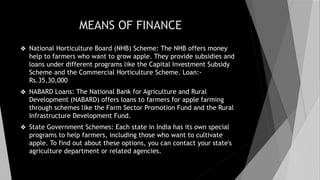 MEANS OF FINANCE
❖ National Horticulture Board (NHB) Scheme: The NHB offers money
help to farmers who want to grow apple. They provide subsidies and
loans under different programs like the Capital Investment Subsidy
Scheme and the Commercial Horticulture Scheme. Loan:-
Rs.35,30,000
❖ NABARD Loans: The National Bank for Agriculture and Rural
Development (NABARD) offers loans to farmers for apple farming
through schemes like the Farm Sector Promotion Fund and the Rural
Infrastructure Development Fund.
❖ State Government Schemes: Each state in India has its own special
programs to help farmers, including those who want to cultivate
apple. To find out about these options, you can contact your state's
agriculture department or related agencies.
 