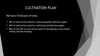 CULTIVATION PLAN
We have 10 hectare of land.
 40% of land will be used for cultivating golden delicious apple.
 40% of land will be used for cultivating red delicious apple.
 Rest of the 20% of land will be used for developing a cross breed
variety and bee keeping.
 