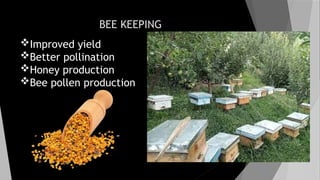 BEE KEEPING
Improved yield
Better pollination
Honey production
Bee pollen production
 