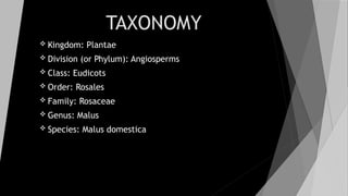 TAXONOMY
 Kingdom: Plantae
 Division (or Phylum): Angiosperms
 Class: Eudicots
 Order: Rosales
 Family: Rosaceae
 Genus: Malus
 Species: Malus domestica
 