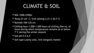 CLIMATE & SOIL
 MSL-1500-2700m
 Temp-21-24° C, fruit setting is 21.1-26.7°C
 Rainfall-100-125 cm
 Chilling hour-1,000-1,500 hours of chilling (the no. of
hours during which temperature remains at or below
7°C during the winter season)
 Soil pH-5.5-6.5
 Soil type-Loamy soils, rich inorganic matter.
 