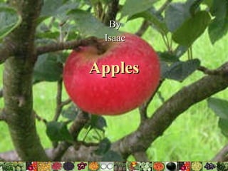 Apples By Isaac 