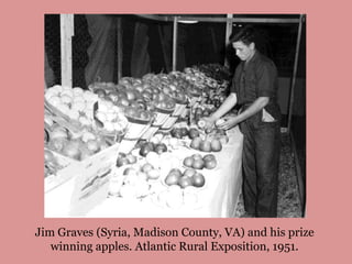 Jim Graves (Syria, Madison County, VA) and his prize 
winning apples. Atlantic Rural Exposition, 1951. 
 
