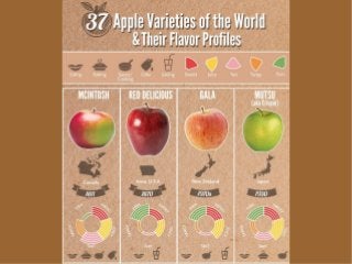 37 Apple Varieties Around the World & Their Flavor Profiles