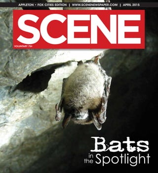 SC NE E
APPLETON • FOX CITIES EDITION | WWW.SCENENEWSPAPER.COM | APRIL 2015
VOLUNTARY 75¢
Bats
Spotlightin
the
 
