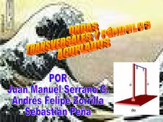 ONDAS  TRANSVERSALES Y PÉNDULOS  ACOPLADOS POR Juan Manuel Serrano G. Andrés Felipe Zorrilla Sebastián Peña 