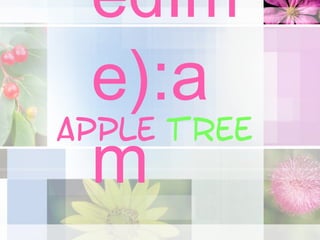 edIm       @




  e):a
Apple tree
  m
 