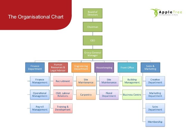 Accor Organizational Chart