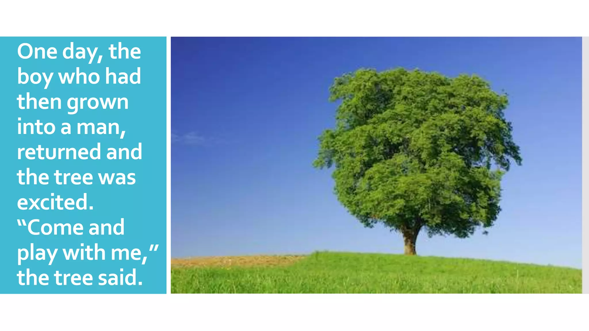 One day, the
boy who had
then grown
into a man,
returned and
the tree was
excited.
“Come and
play with me,”
the tree said.
 