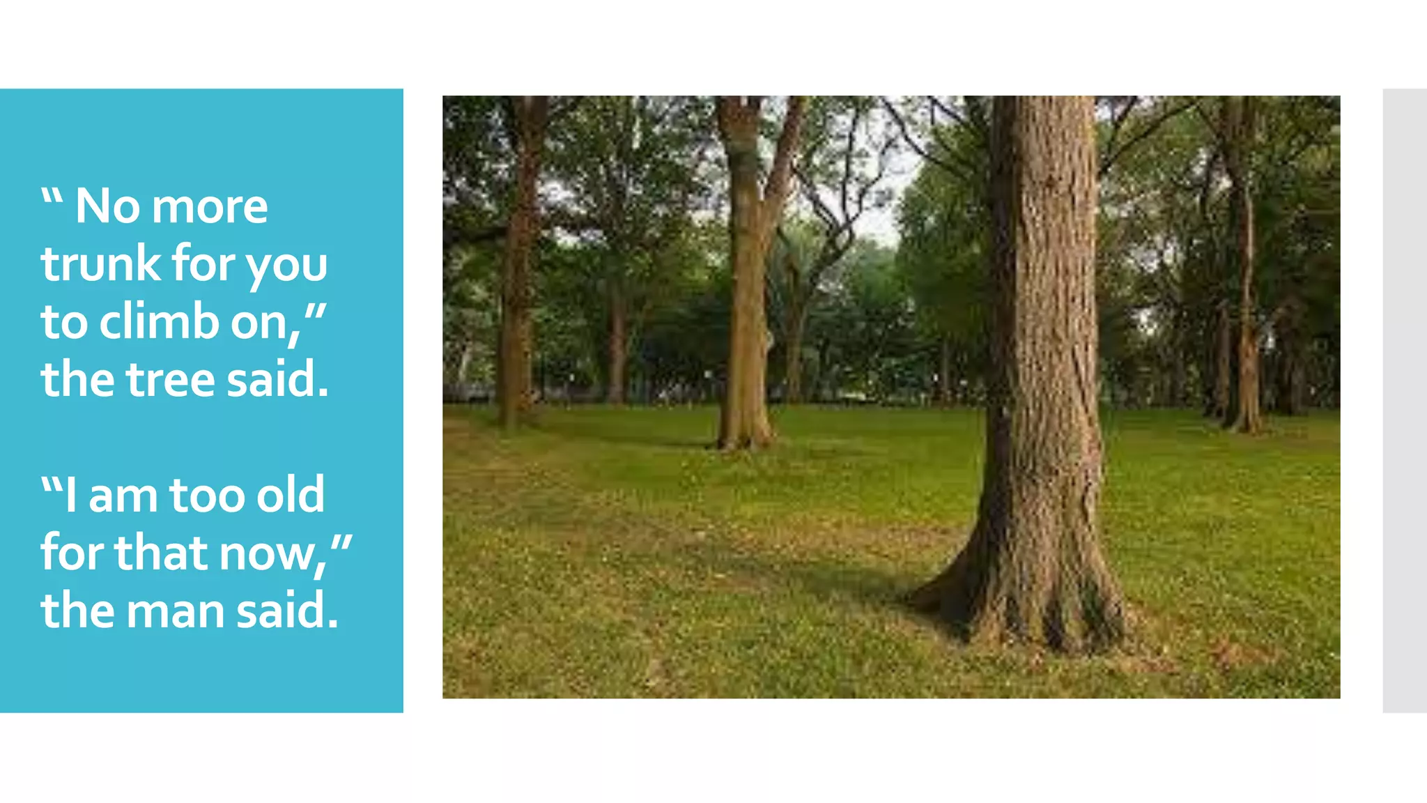 “ No more
trunk for you
to climb on,”
the tree said.
“I am too old
for that now,”
the man said.
 