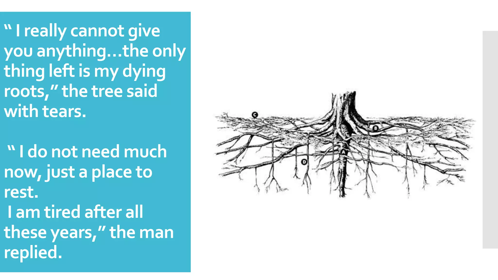 “ I really cannot give
you anything…the only
thing left is my dying
roots,” the tree said
with tears.
“ I do not need much
now, just a place to
rest.
I am tired after all
these years,” the man
replied.
 