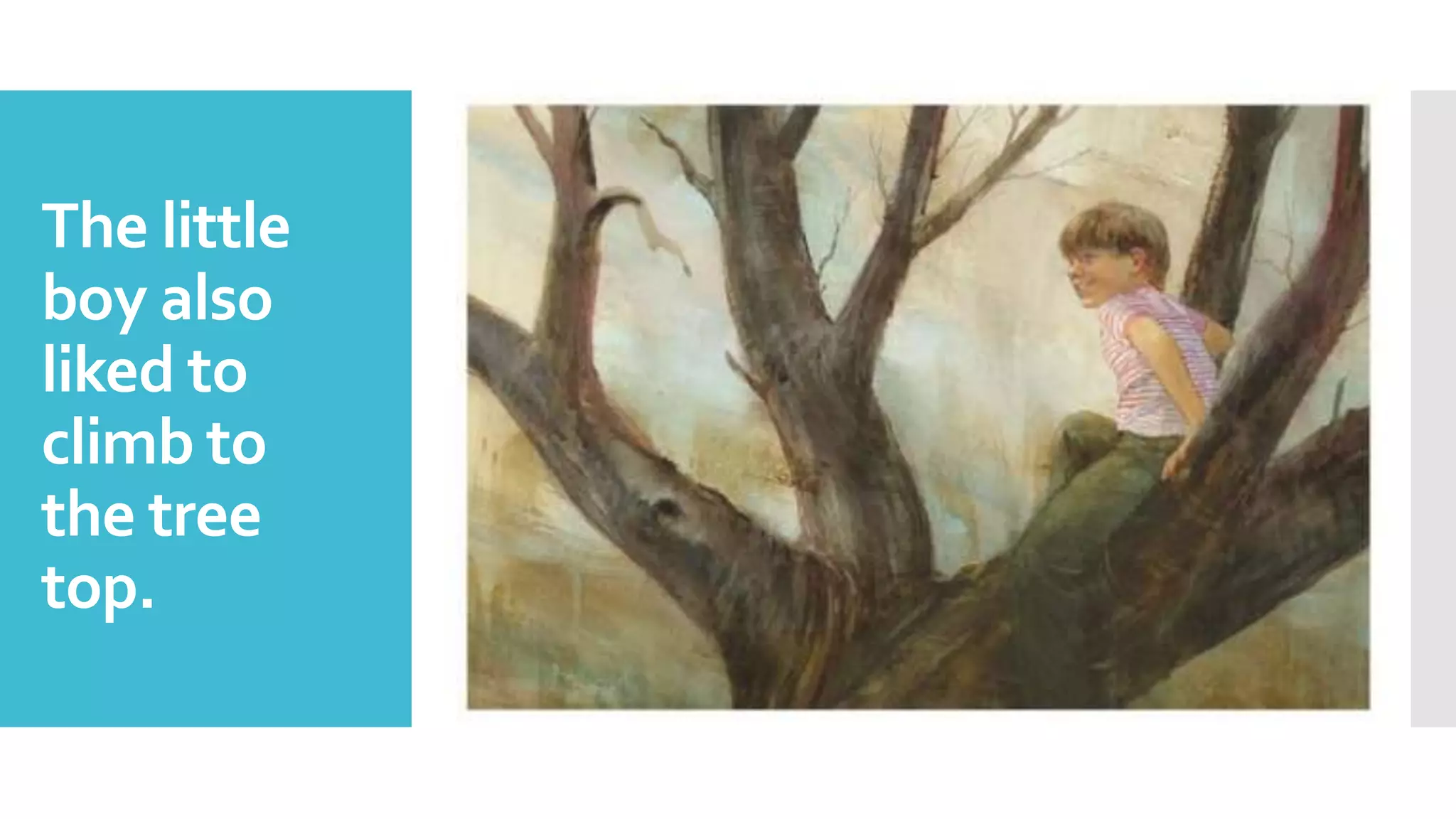 The little
boy also
liked to
climb to
the tree
top.
 