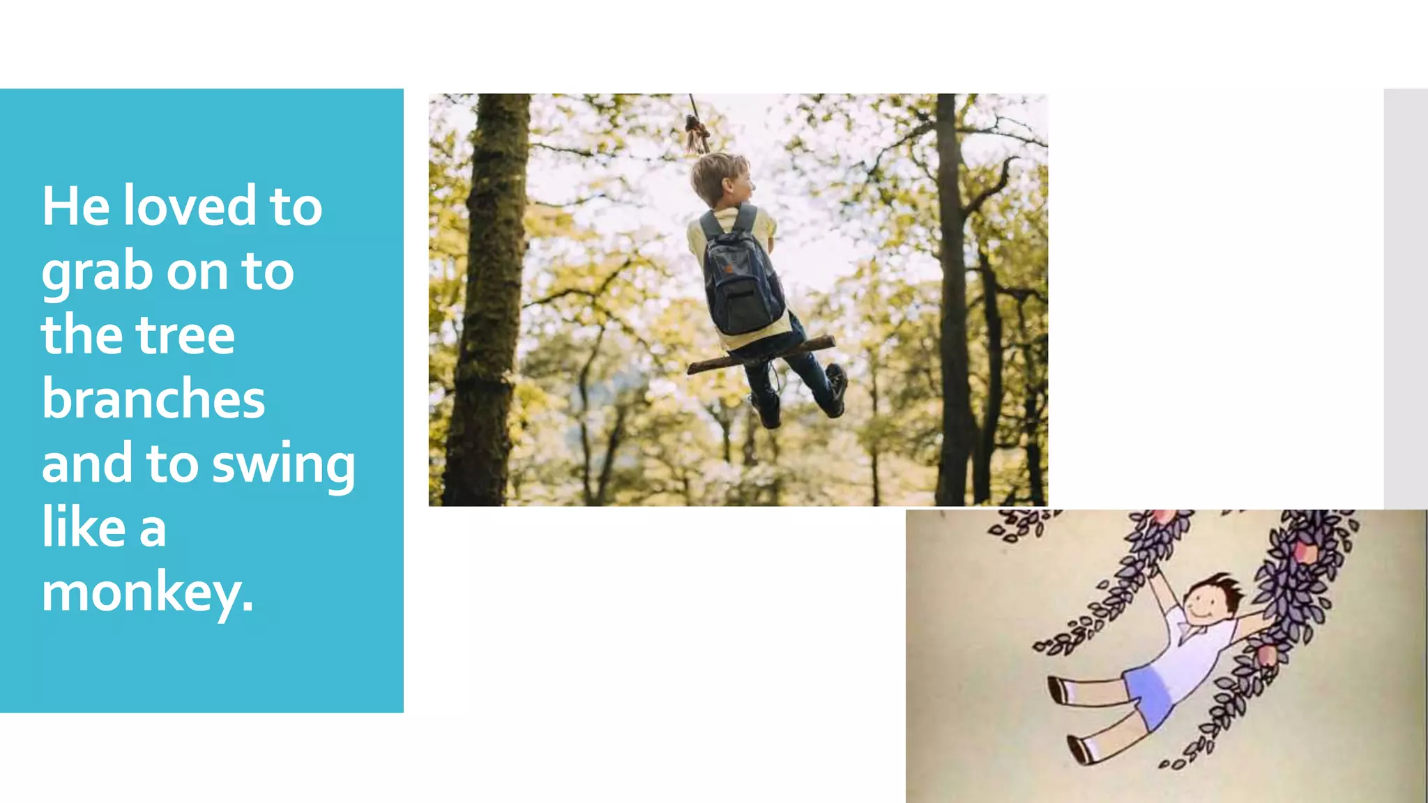 He loved to
grab on to
the tree
branches
and to swing
like a
monkey.
 