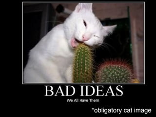 bad
*obligatory cat imageX
 