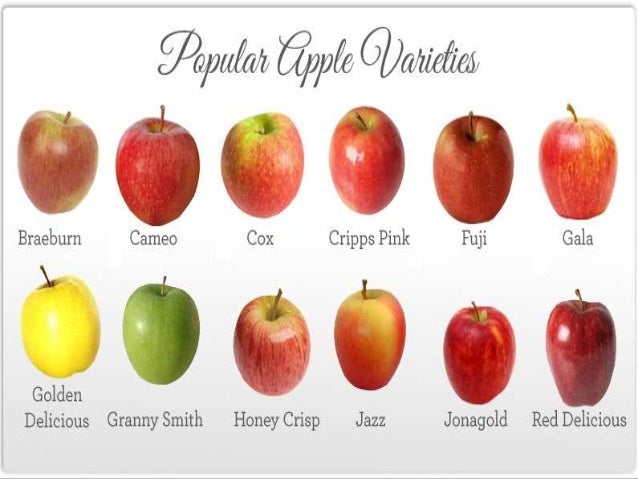 Apple Varieties