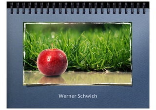 Werner Schwich
 