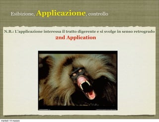 Esibizione, Applicazione, controllo
2nd Application
N.B.: L’applicazione interessa il tratto digerente e si svolge in senso retrogrado
martedì 14 maggio
 