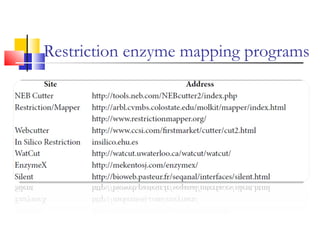 Restriction enzyme mapping programs