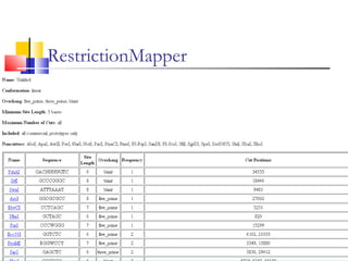 RestrictionMapper